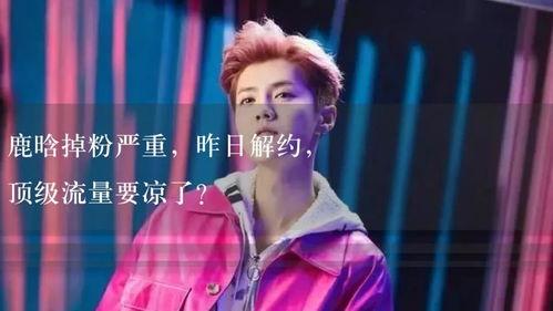 娛樂(lè)吃瓜解說(shuō),揭秘明星幕后那些事兒