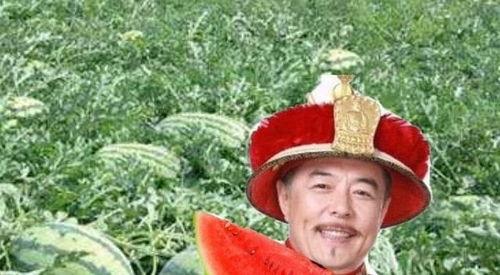 吃瓜 瓜農 娛樂圈,瓜農視角下的娛樂圈風云錄