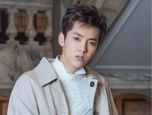 娛樂吃瓜丫張楊,揭秘張楊背后的故事