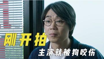 娛樂吃瓜君可憐,揭秘娛樂圈背后的可憐真相