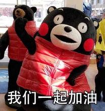 娛樂吃瓜蜀黍毛球,揭秘娛樂圈幕后故事