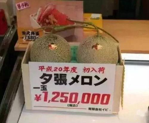 吃瓜群眾休閑娛樂館,一站式娛樂新體驗