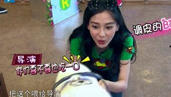 娛樂(lè)吃瓜醬笑聲視頻播放,網(wǎng)友直呼“太治愈”