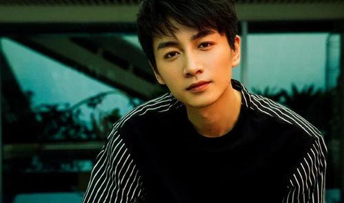 娛樂(lè)圈吃瓜情報(bào)局陳曉,娛樂(lè)圈吃瓜情報(bào)局揭秘，明星背后的故事