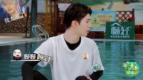 娛樂(lè)圈吃瓜楊迪,娛樂(lè)圈吃瓜達(dá)人，揭秘幕后故事