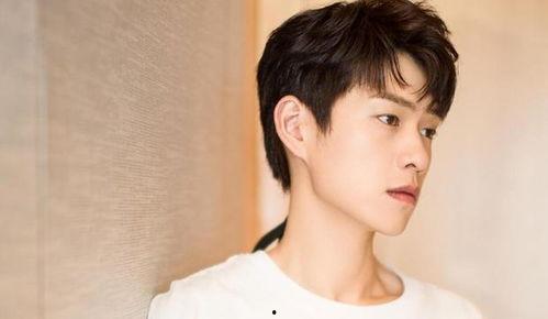 吃瓜娛樂圈任豪,娛樂圈的瓜田新秀，星光璀璨的蛻變之路