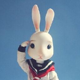 娛樂吃瓜直播間兔子,揭秘娛樂圈幕后吃瓜大揭秘