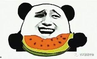 娛樂圈吃瓜系統(tǒng)雕動(dòng)畫,揭秘明星幕后故事