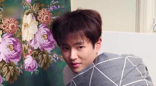 娛樂(lè)圈吃瓜李宏毅是誰(shuí)啊,揭秘他的明星之路