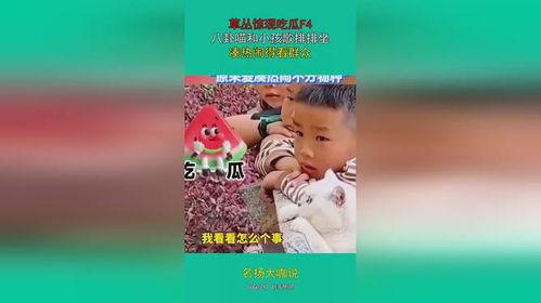 娛樂吃瓜群眾歌曲大全,歌曲大全盤點(diǎn)