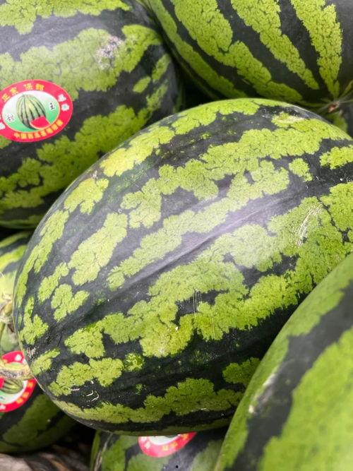 娛樂(lè)吃瓜錢,吃瓜群眾如何用“錢”解鎖明星幕后故事