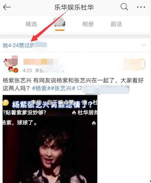 娛樂吃瓜視頻模板,明星幕后故事大揭秘，吃瓜群眾必看！