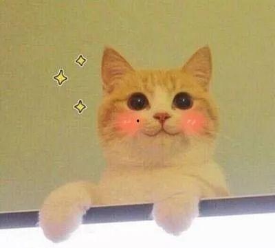 貓貓永不為奴娛樂吃瓜醬,揭秘娛樂圈幕后趣聞