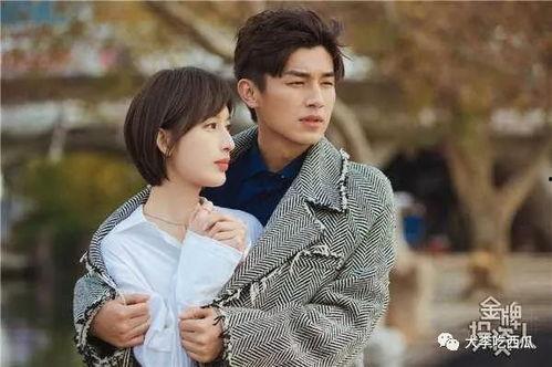 娛樂吃小瓜楊旭文,娛樂吃瓜背后的成長(zhǎng)與蛻變