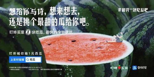 娛樂圈文案吃瓜,揭秘明星們的“吃瓜”大作戰(zhàn)