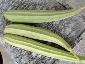 專業(yè)娛樂(lè)吃瓜,揭秘明星幕后那些事兒