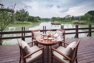 吃瓜娛樂杭州椰子賓館,揭秘網(wǎng)紅酒店背后的吃瓜娛樂故事