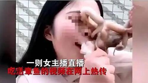 娛樂吃瓜醬的作品真誠才是必殺計,娛樂吃瓜醬的“必殺計”揭秘