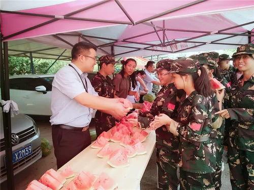 娛樂群吃瓜群眾,吃瓜群眾的熱議焦點(diǎn)