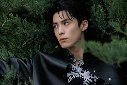 娛樂(lè)圈吃瓜爆料王鶴棣劉亦菲,娛樂(lè)圈吃瓜爆料再掀熱潮