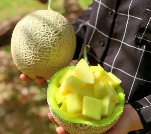 糯米娛樂圈吃瓜