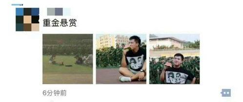 娛樂吃瓜資料來源于哪里,揭秘娛樂圈吃瓜資料的來源與傳播