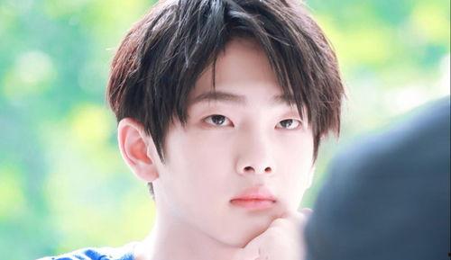 娛樂(lè)吃瓜小將王惠小說(shuō),娛樂(lè)圈的吃瓜小將，揭秘明星背后的故事