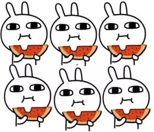 逗爾娛樂吃瓜看點在哪里,揭秘娛樂圈幕后故事