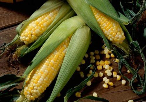 娛樂吃瓜醬玉米,揭秘娛樂圈那些鮮為人知的幕后故事