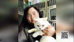 娛樂吃瓜醬小貓坐公交車,萌寵坐公交，趣味橫生一幕