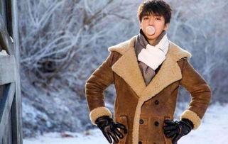 愛(ài)豆吃瓜娛樂(lè)醬王俊凱,從偶像到瓜界新貴，揭秘愛(ài)豆吃瓜娛樂(lè)醬的養(yǎng)成之路