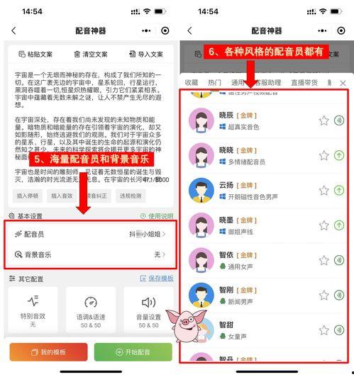 娛樂(lè)吃瓜音效軟件哪個(gè)好,哪個(gè)是你的最佳選擇？