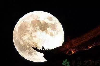 月亮吃瓜娛樂(lè)說(shuō),揭秘娛樂(lè)圈幕后故事