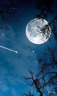 月亮吃瓜娛樂(lè)說(shuō),揭秘娛樂(lè)圈幕后故事