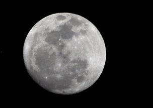 月亮吃瓜娛樂(lè)說(shuō),揭秘娛樂(lè)圈幕后故事