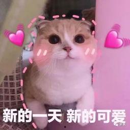 羊了個羊吃瓜娛樂,吃瓜娛樂背后的網(wǎng)絡(luò)狂歡