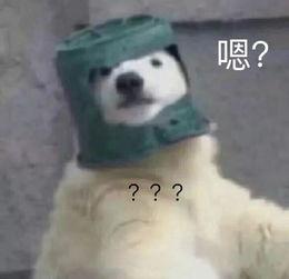 羊了個羊吃瓜娛樂,吃瓜娛樂背后的網(wǎng)絡(luò)狂歡