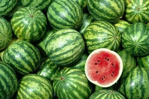 娛樂(lè)吃瓜作品在哪看,盤點(diǎn)各大平臺(tái)熱門作品一覽