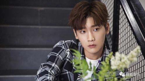 愛豆吃瓜娛樂醬肖宇梁,愛豆吃瓜娛樂醬，揭秘娛樂圈幕后故事