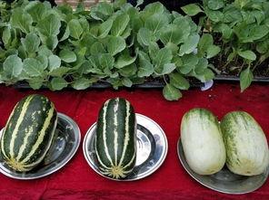 娛樂(lè)吃瓜壁紙圖