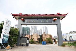 娛樂(lè)吃瓜醬臨沂大學(xué),娛樂(lè)吃瓜醬背后的故事