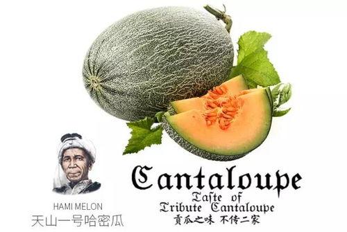 娛樂(lè)吃瓜配樂(lè)推薦一下,盤點(diǎn)熱門配樂(lè)推薦