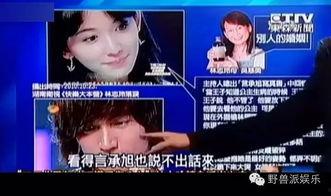 娛樂吃瓜蜀黍廣告視頻在線觀看,揭秘?zé)衢T廣告視頻，帶你領(lǐng)略網(wǎng)絡(luò)娛樂新風(fēng)尚