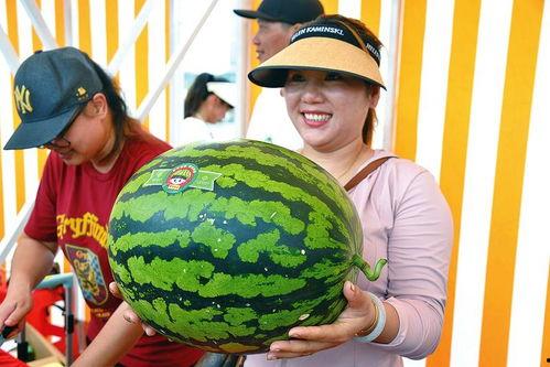 吃瓜娛樂會(huì),吃瓜娛樂背后的真相與內(nèi)幕