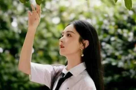 娛樂圈頂流吃瓜小說,瓜田里的璀璨星辰