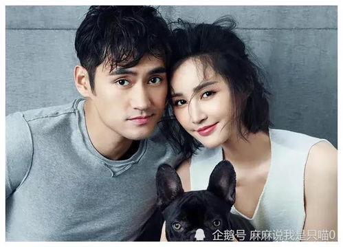 娛樂圈吃瓜的主播都有誰,揭秘熱門主播背后的故事