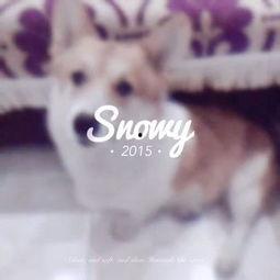 吃瓜少女喵娛樂,揭秘娛樂圈幕后故事