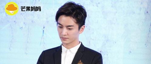 娛樂圈吃瓜情報(bào)局陳曉,娛樂圈吃瓜情報(bào)局揭秘，明星背后的故事