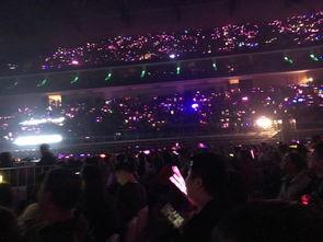 娛樂吃瓜君演唱會,狂歡之夜，星光熠熠